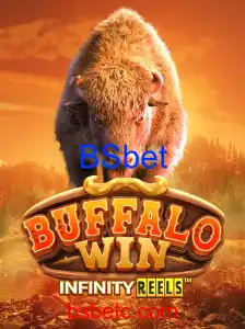 BuffaloWin